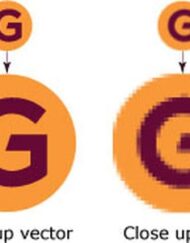 Convert service Bitmaps To Vectors