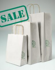 Recycled Grass Paper Bags with Twisted Cord
